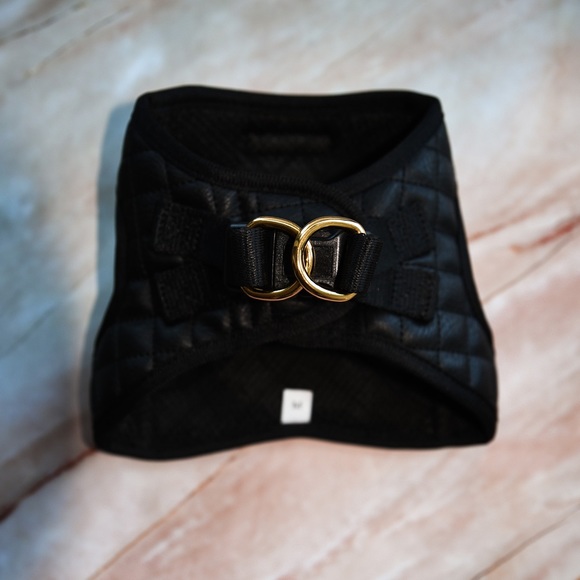 PETs R US | Dog | Pets R Us Black Gold Step In Vest Dog Harness Quilted ...
